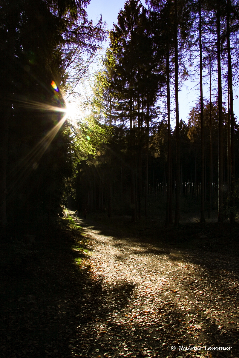 Wäller-Traumtour Eisenbachtal