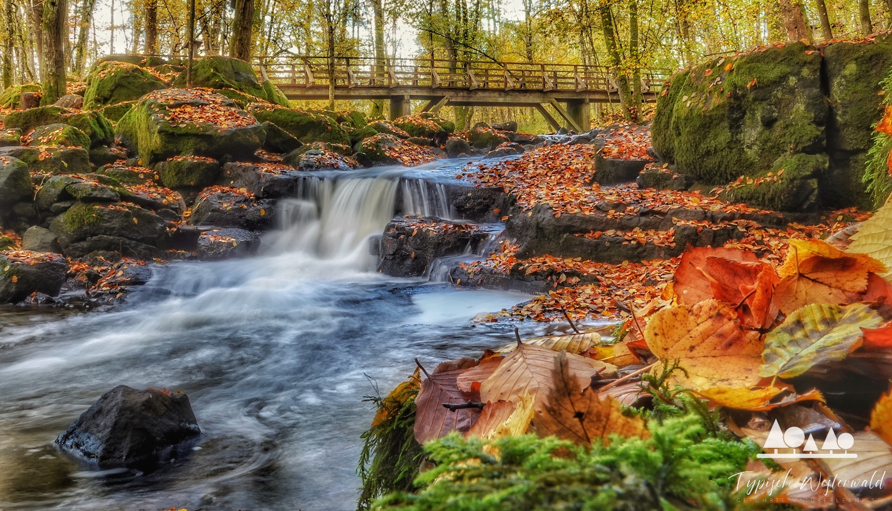 Warum der Herbst im Westerwald vielleicht die schönste Wanderzeit ist