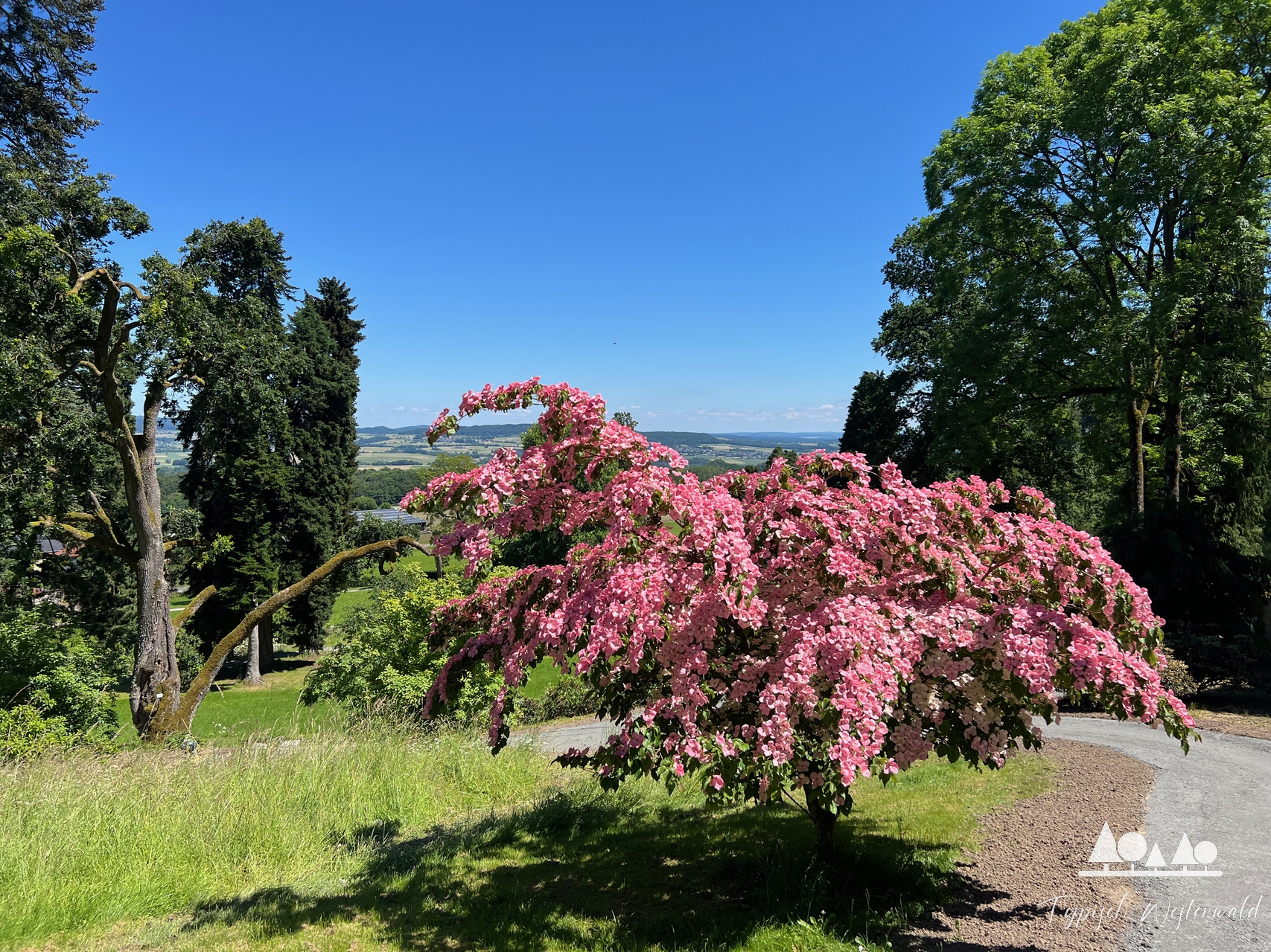 Wandern im Westerwald: Eine unvergessliche Tour durch die Natur und Geschichte