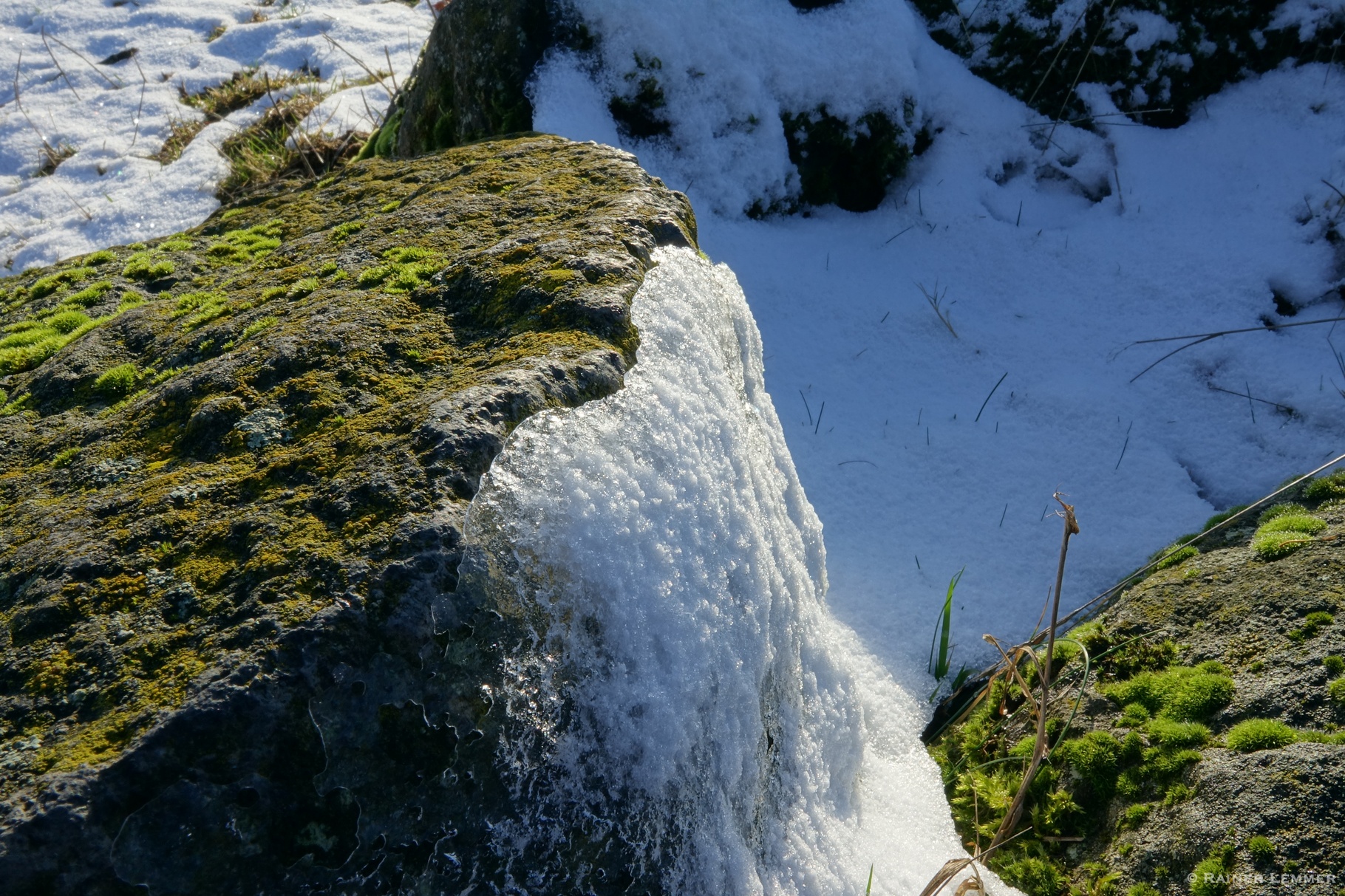 Basaltbrocken, Flechten und Moose