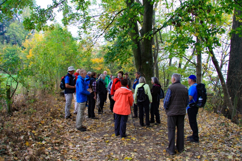 Donnerstags-Wandergruppe am Laacher See