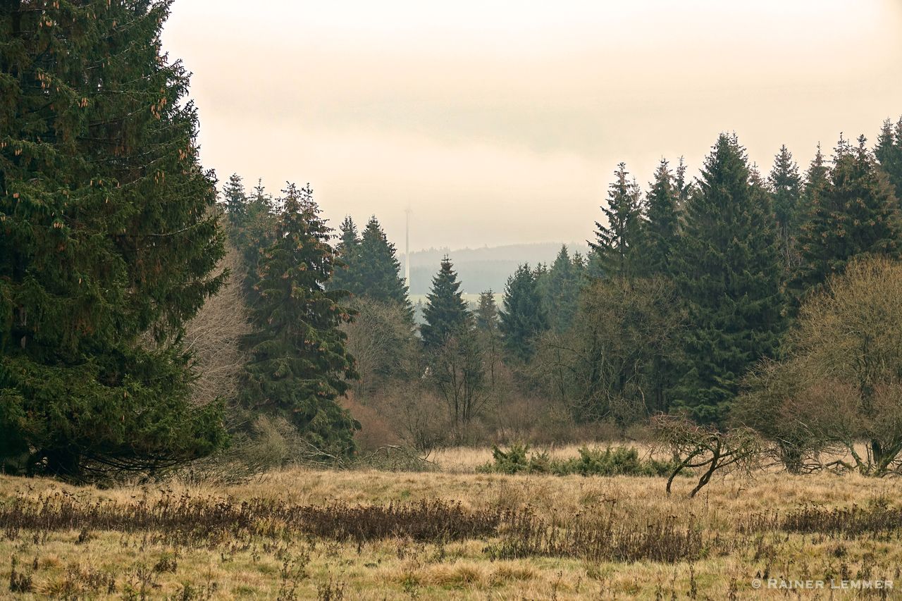 Fuchskaute Rundweg