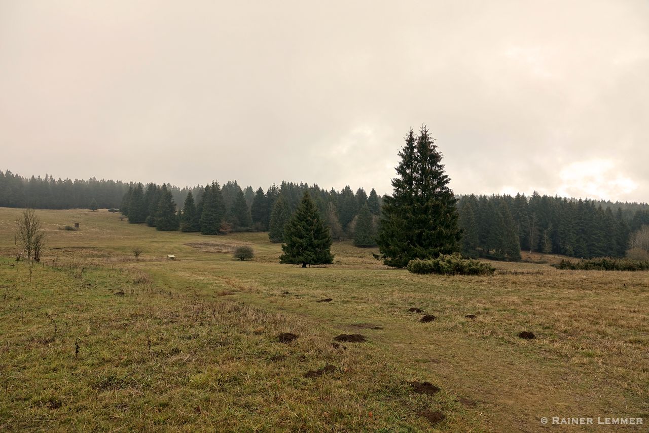 Naturschutzgebiet Fuchskaute