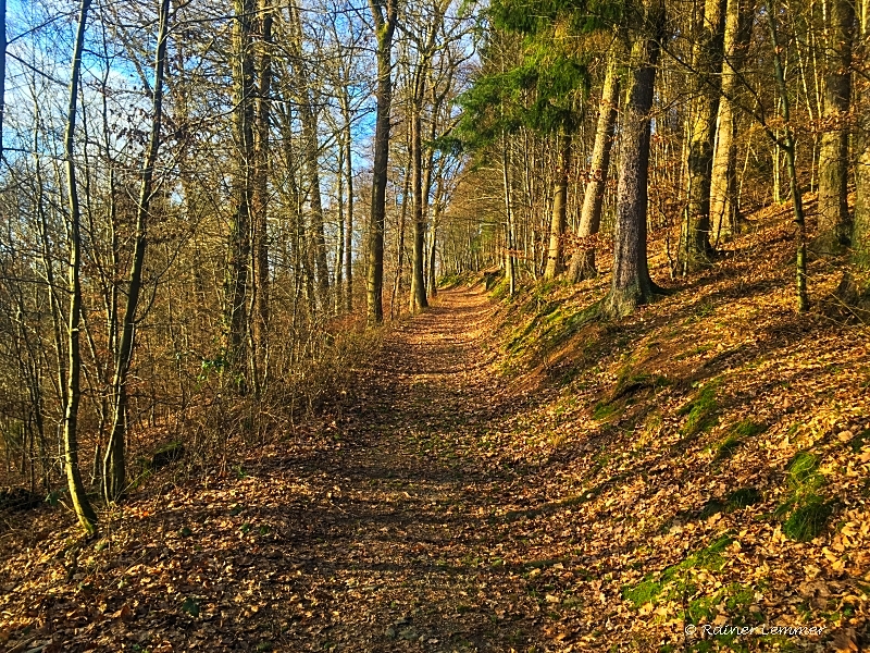 Auf dem Weg zu den küssenden Bäumen