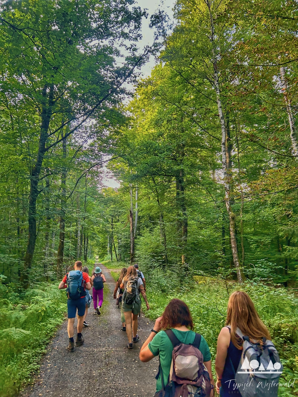 Zweite Single-Wanderung: Sommerabend an der Westerwälder Seenplatte