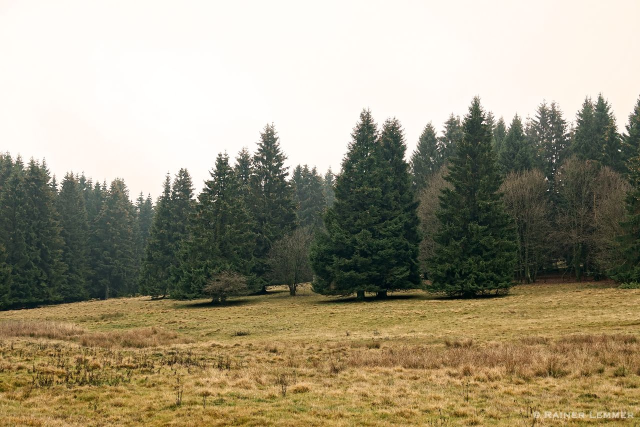 Fuchskaute Rundweg