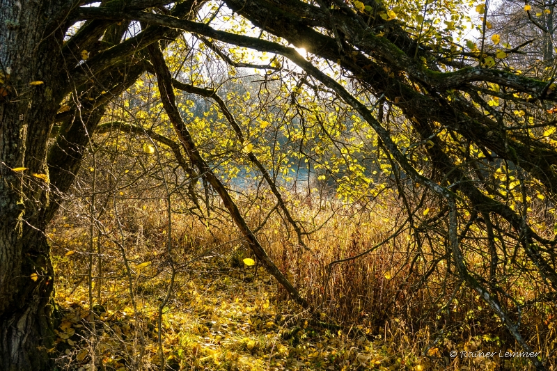 WesterWälderWurstWanderWeg