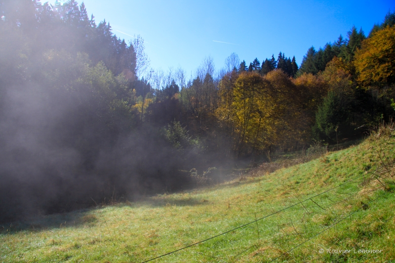 Morgennebel weicht der Sonne