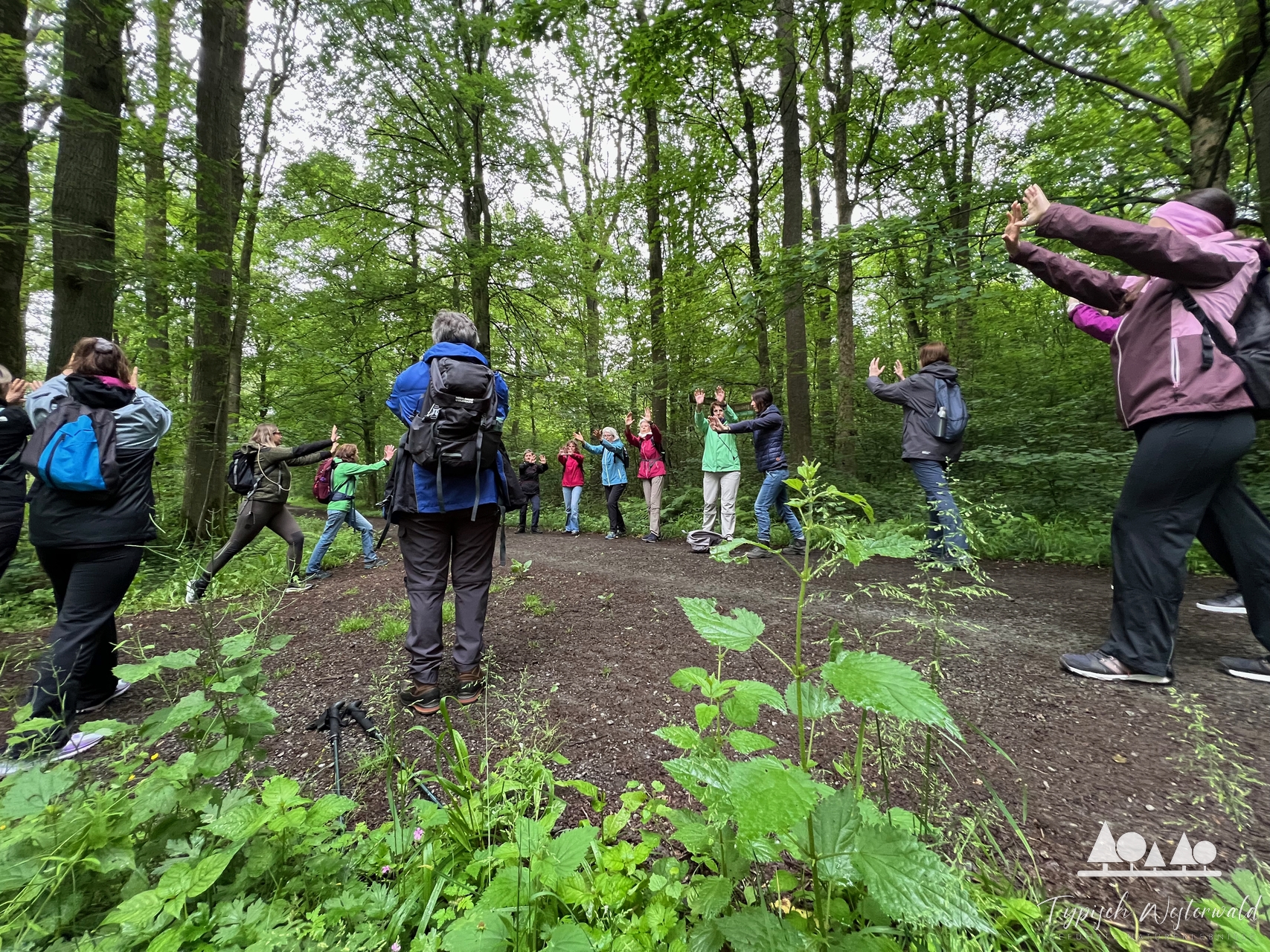 Naturverbunden und entspannt: Die transformative Kraft von Qigong erleben