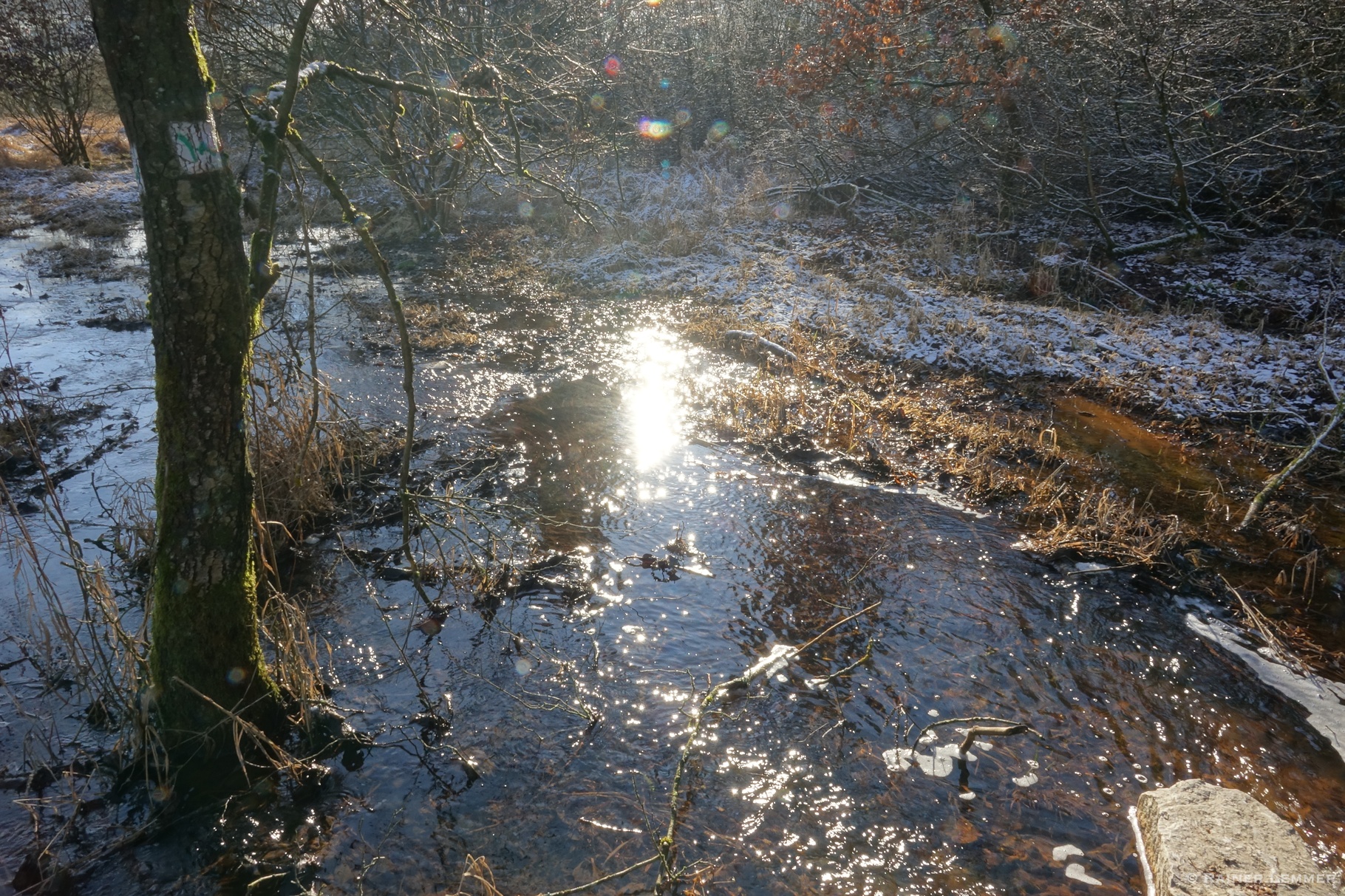 Überlauf vom Biberteich