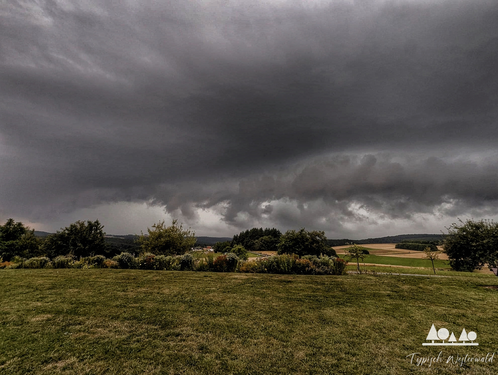 Abendwanderung W15 – Zwischen Gewitter, Mammutbäumen und keltischer Geschichte