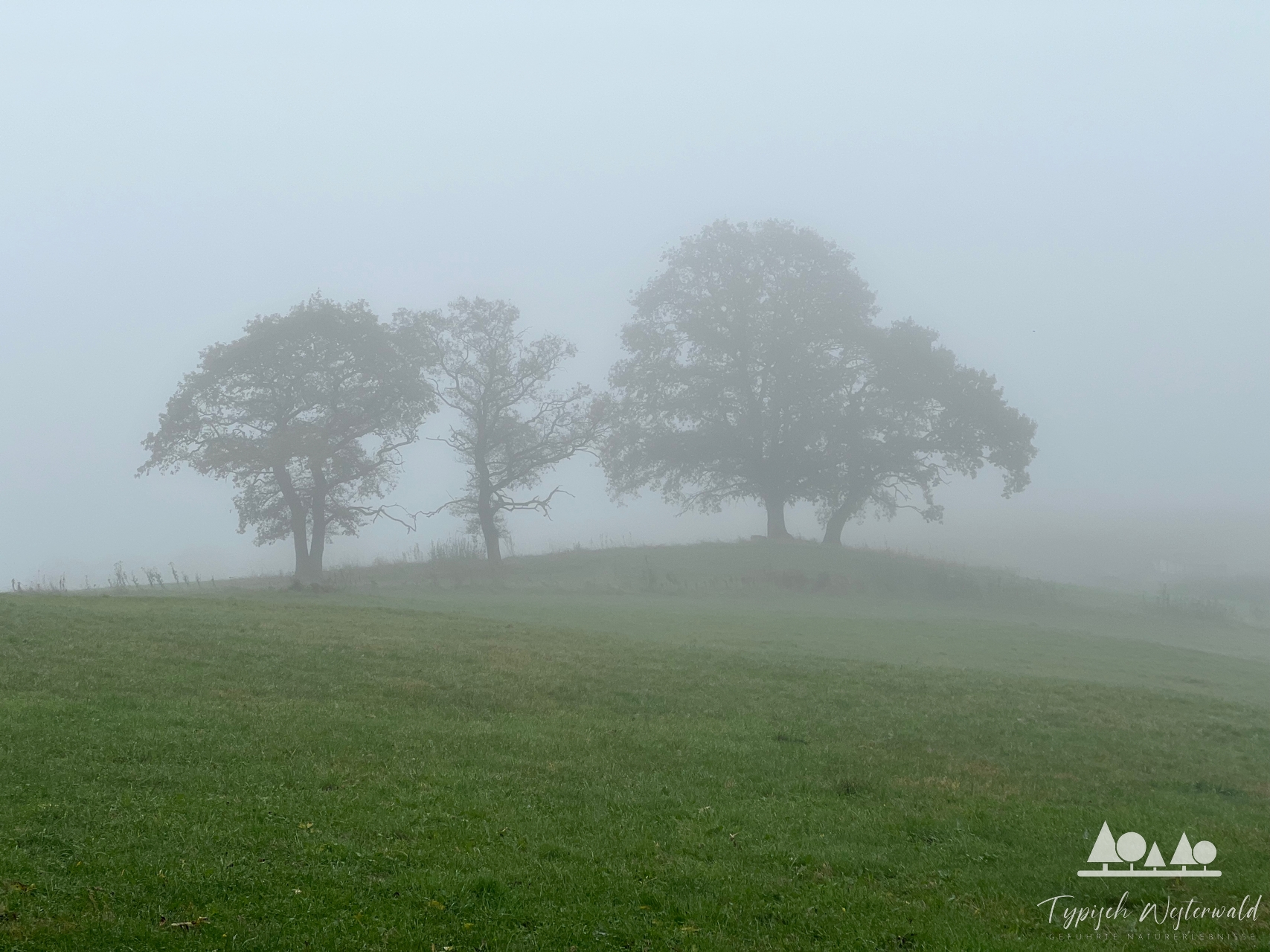 Naturgeheimnisse im Nebel: Ein besonderer Wandertag im herbstlichen Westerwald