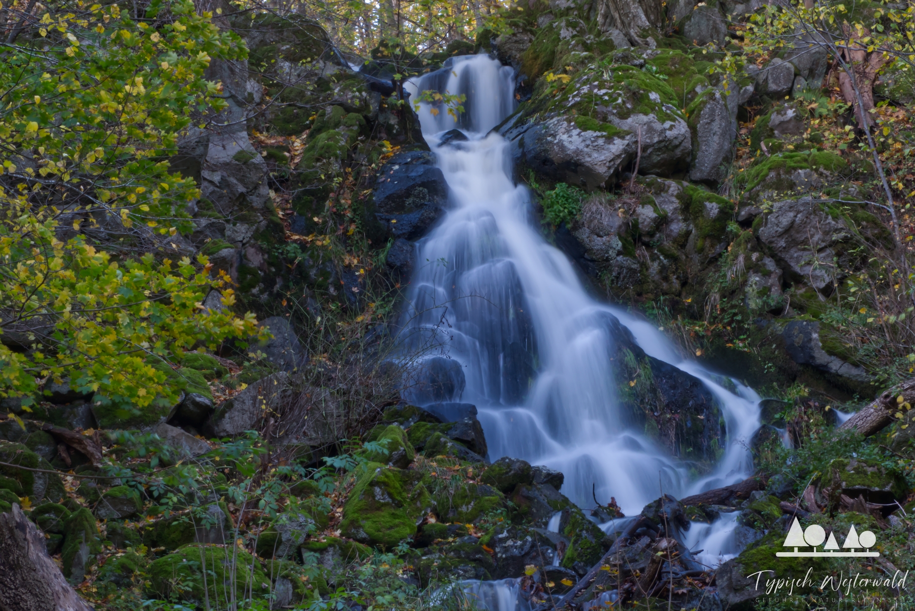 Fotografische Wanderung zum Leyenbach-Wasserfall