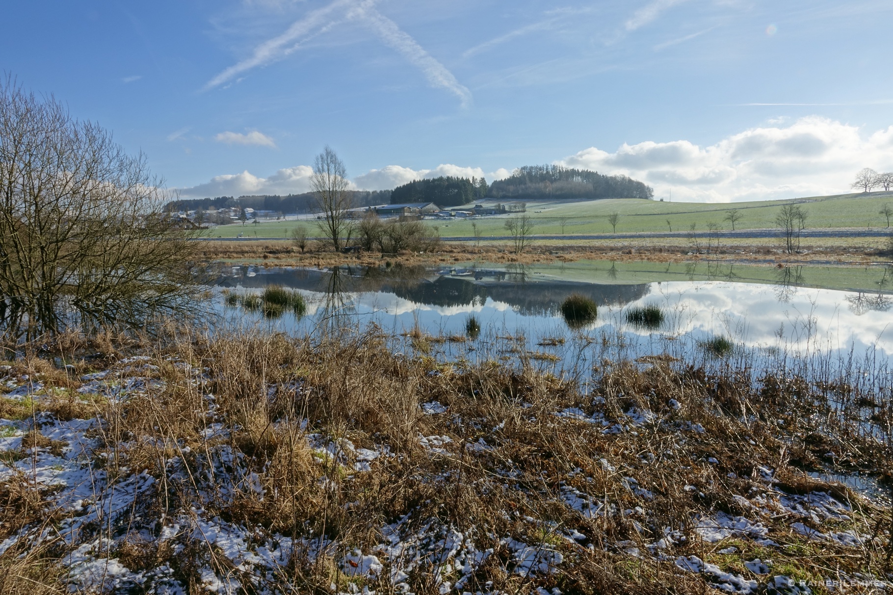 Biberteich bei Wölferlingen