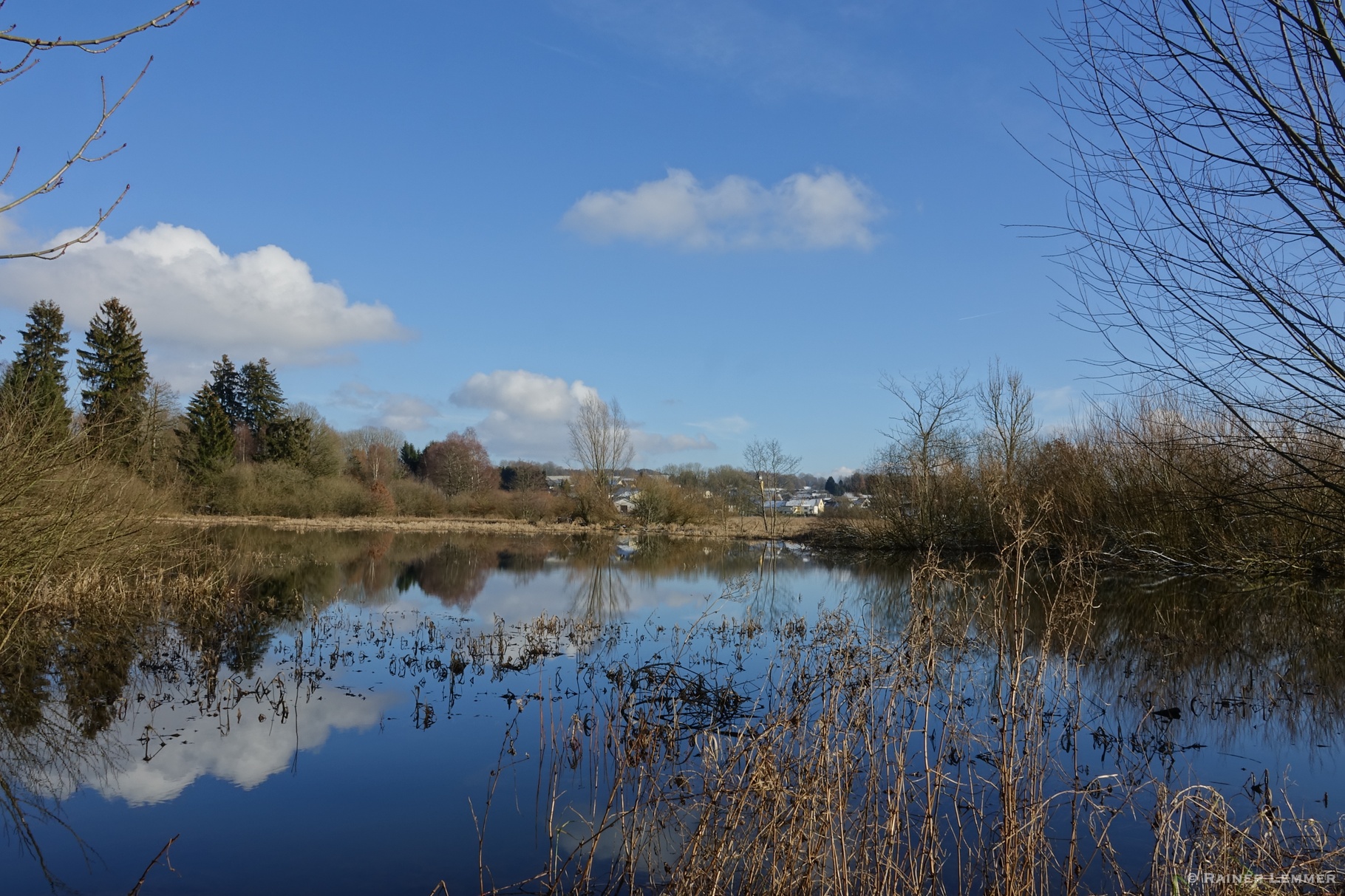 Biberteich bei Wölferlingen