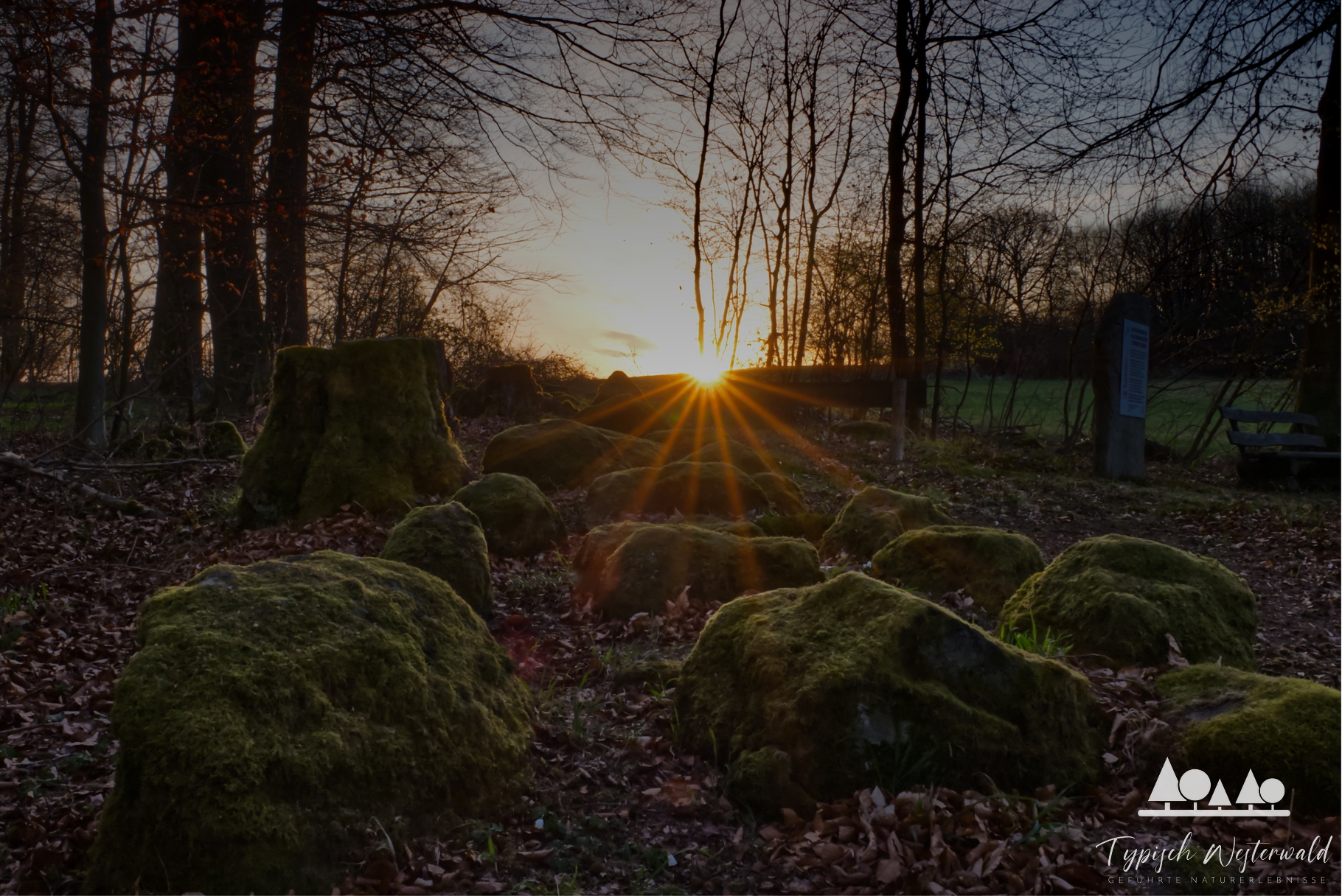 Ein Morgen, der in Erinnerung bleibt – Geführte Sonnenaufgangswanderung am Astronomischen Steinzeitkalender