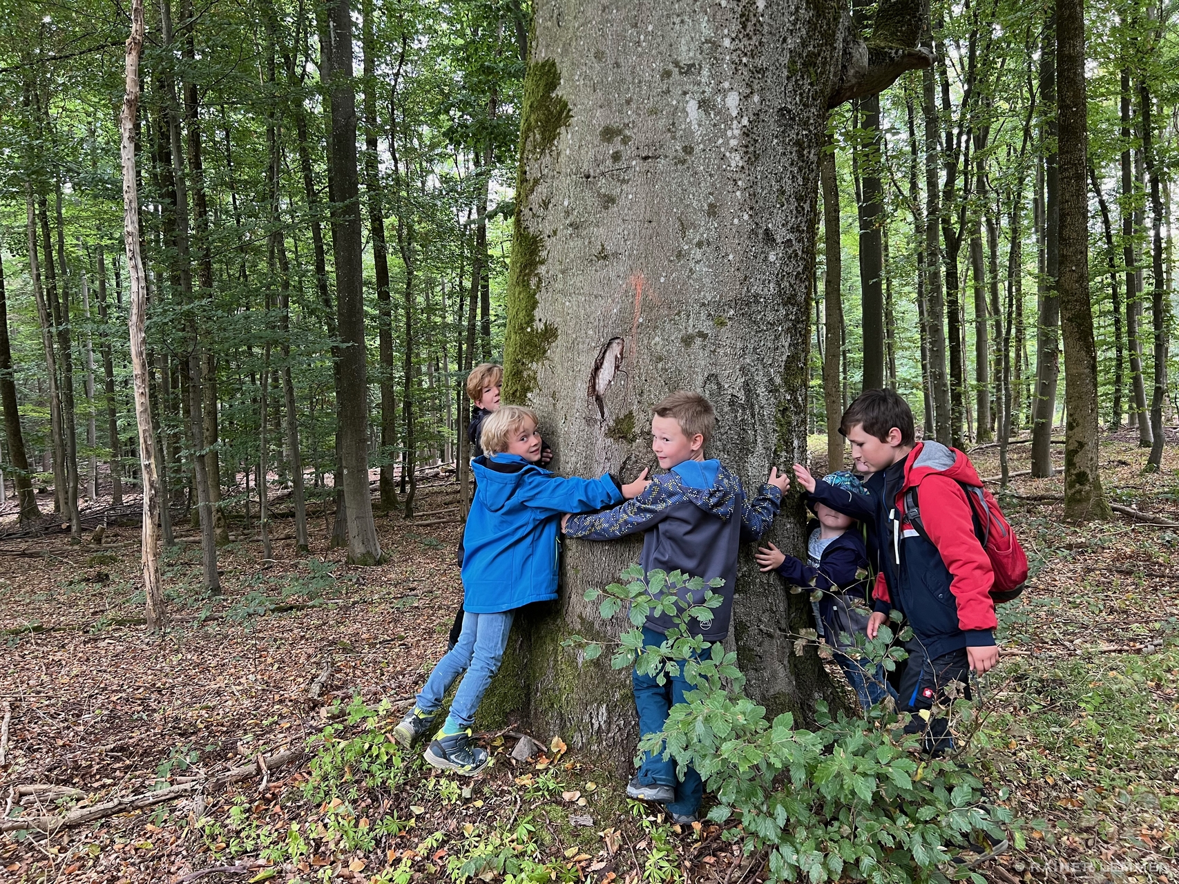 Familien-Erlebnis Wanderung "Auf den Spuren des weißen Goldes des Westerwald"