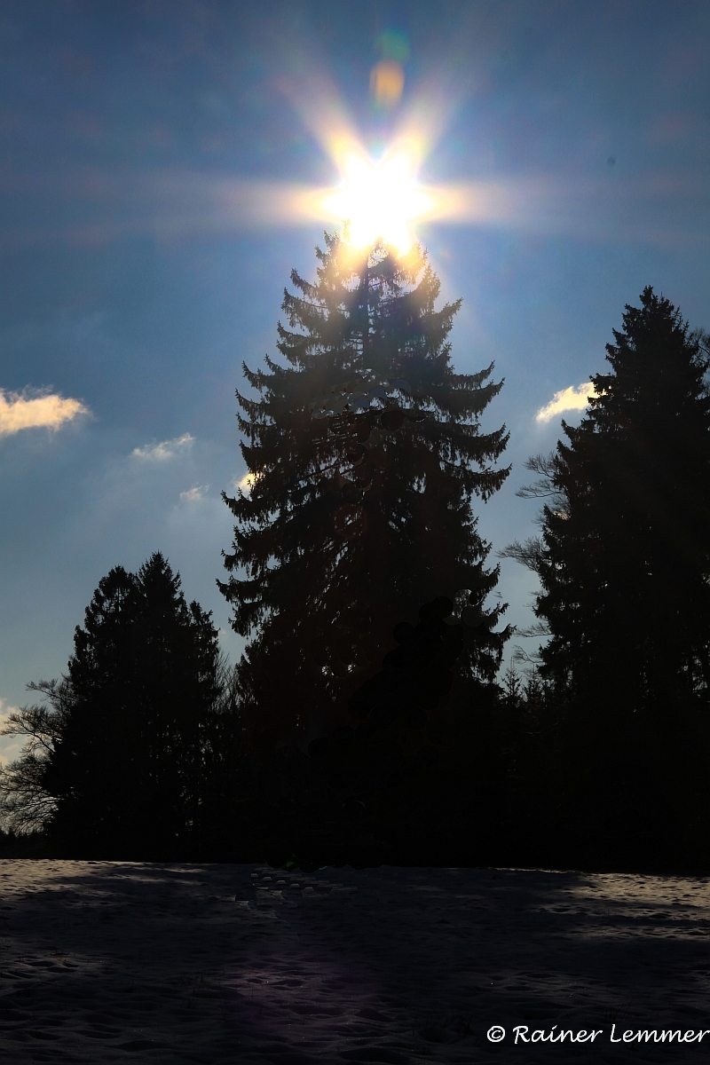 Winterlandschaft bei Rotenhain  - Tannenbaumbeleuchtung