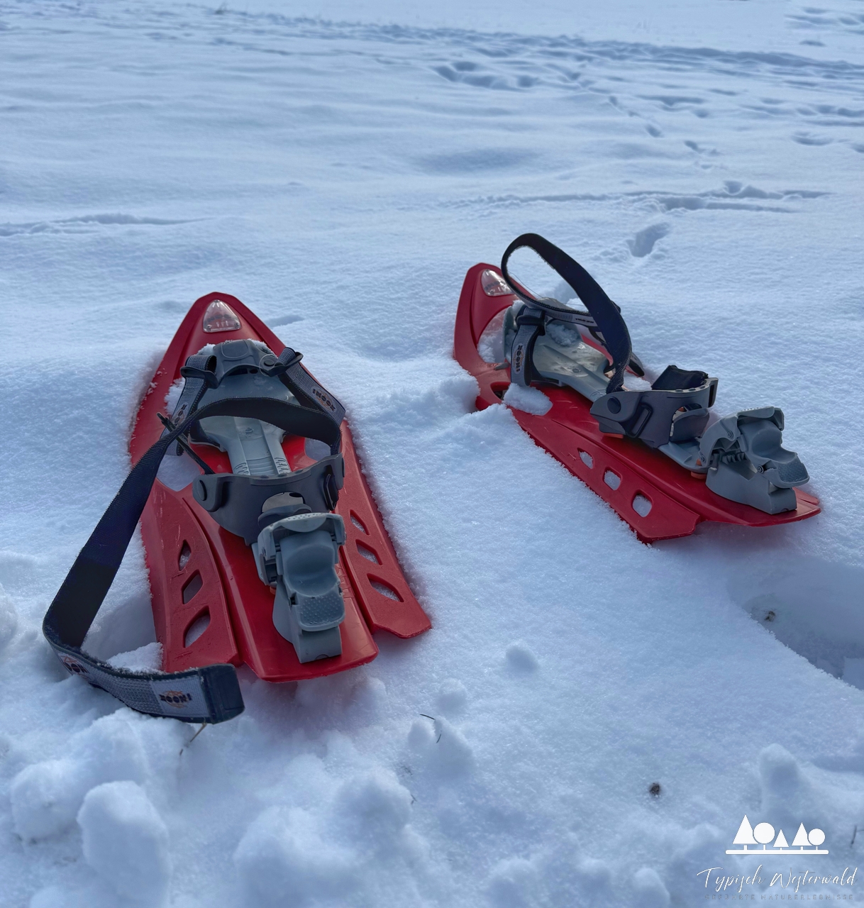 Winterlicher Westerwald – mit Schneeschuhen entlang der Wied
