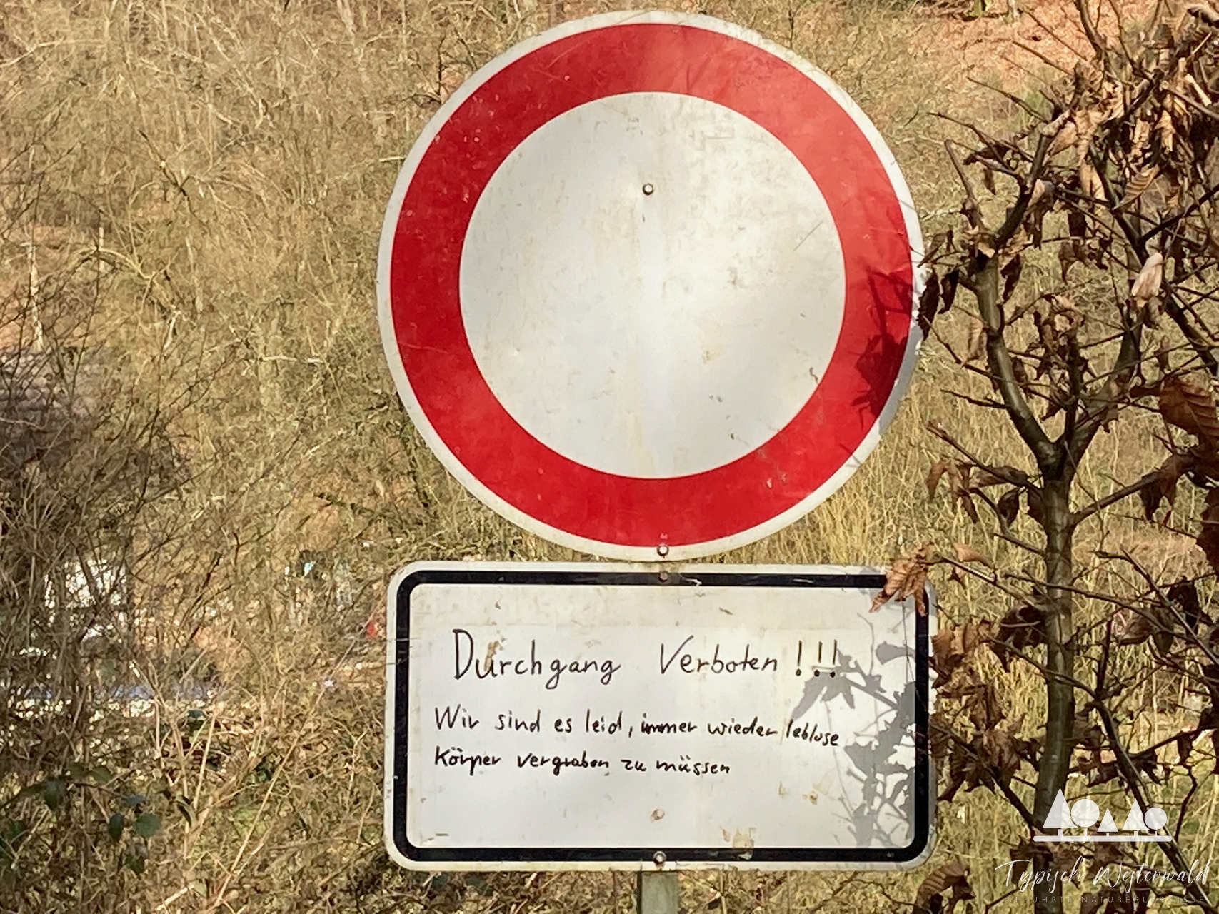 Vom Eichenprozessionsspinner zur Wollsockenpflicht – Kuriose Wanderregeln