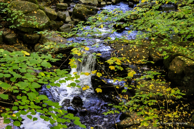 Holzbachschlucht bei Gemünden