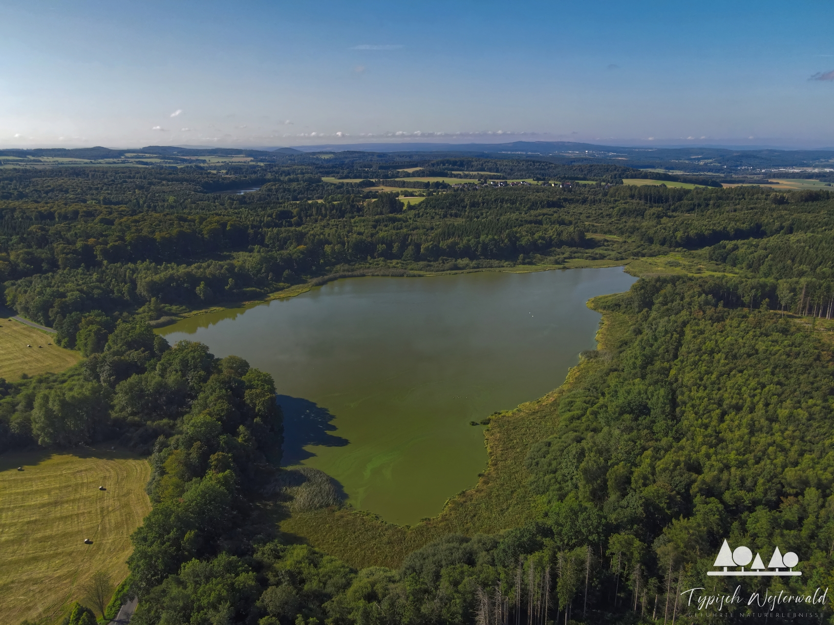 Hofmanns Weiher
