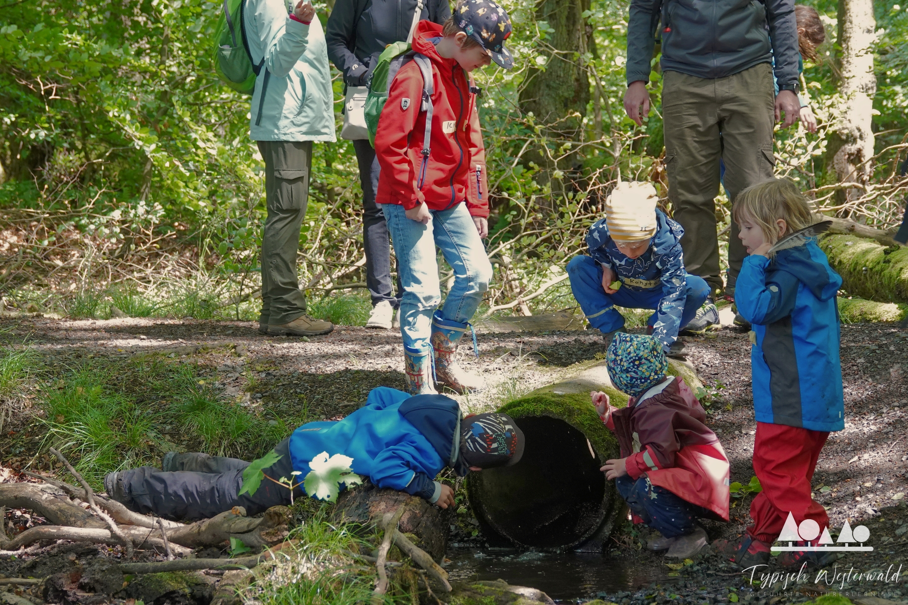 Abenteuer im Westerwald: Familien-Erlebnis-Wanderung rund um den Postweiher