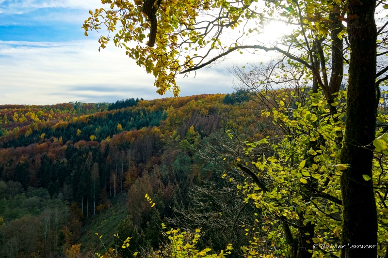 Blick ins Brexbachtal