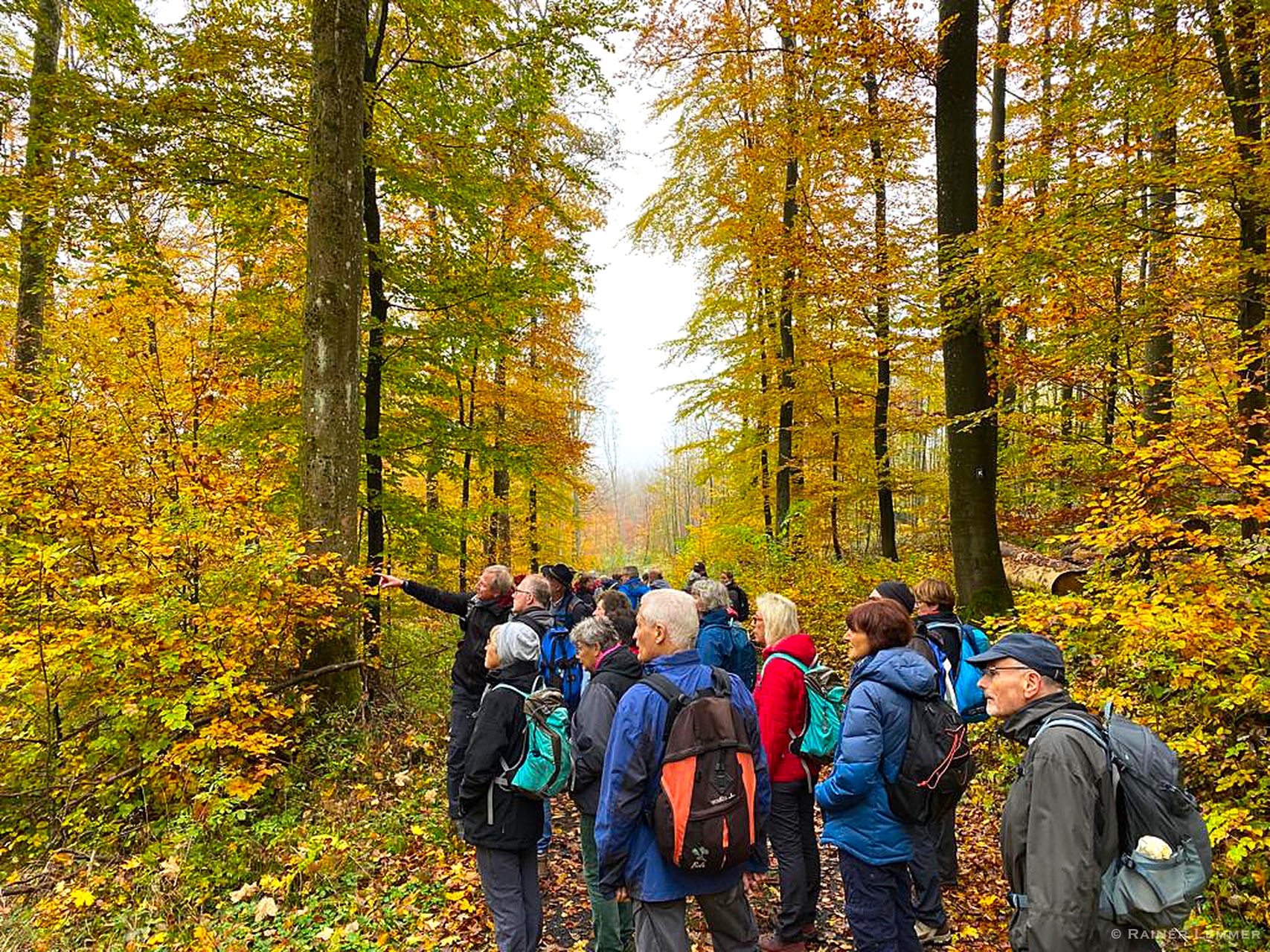 14 Km Wanderung auf dem SP8 der „Gemaahnsweschelscher“