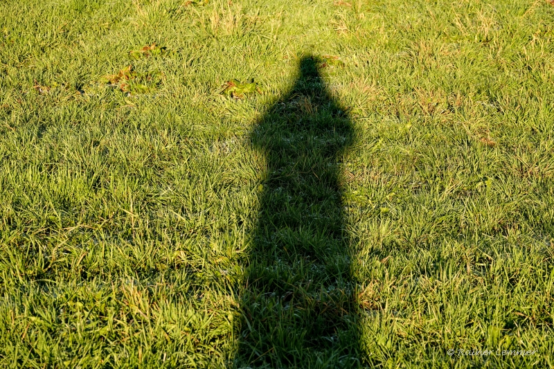 Selbstporträt mit Schatten