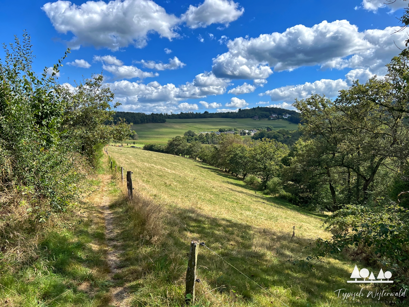 Abenteuerliche Pfade und beeindruckende Ausblicke: Rückblick auf die geführte Wanderung im Wisserland