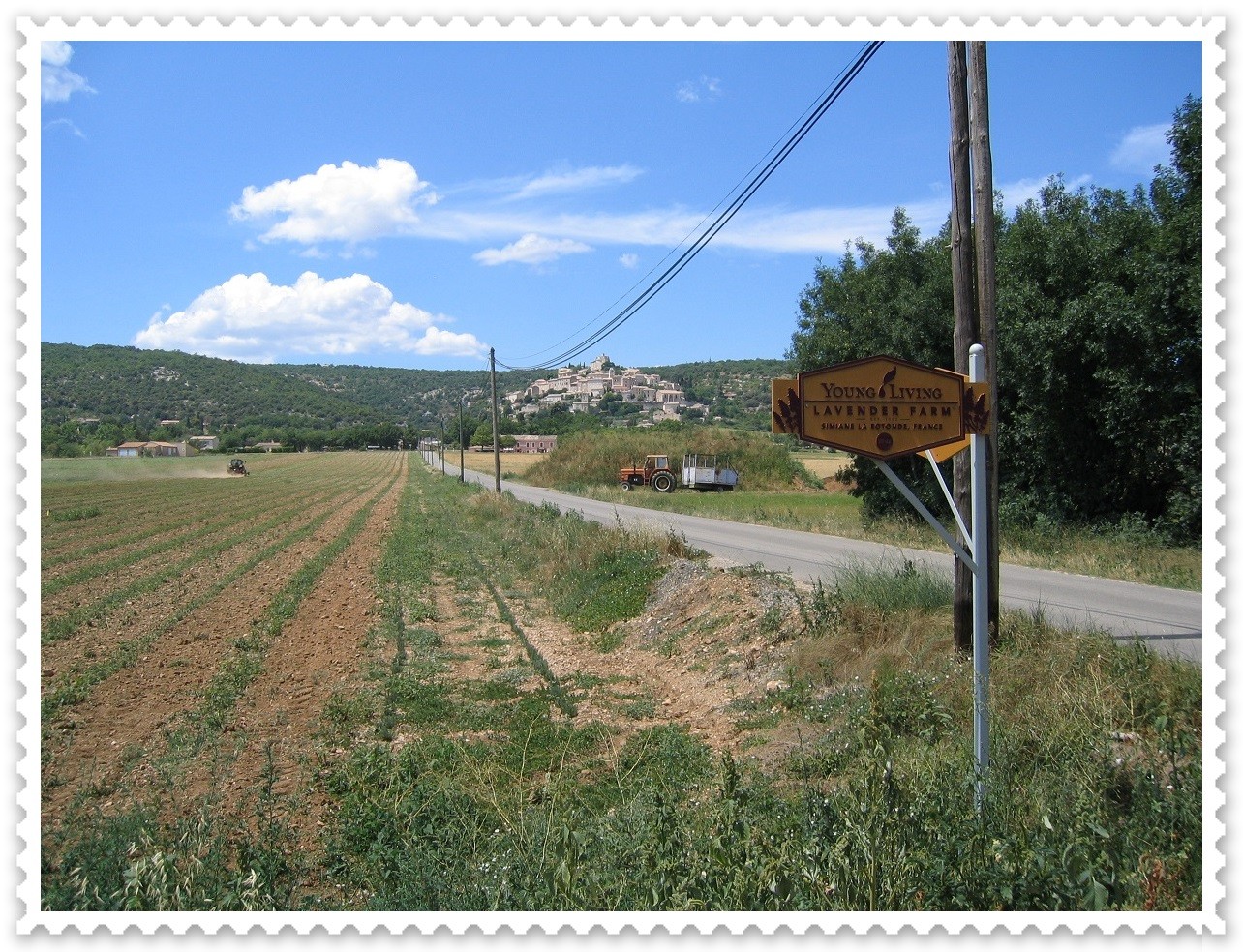 Young Living Farm bei Simiane-la-Rotonde