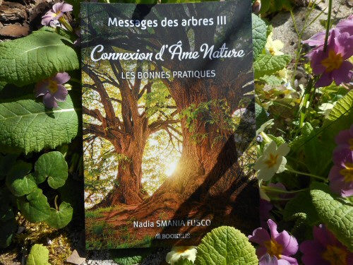 Connexion d'Ame Nature
