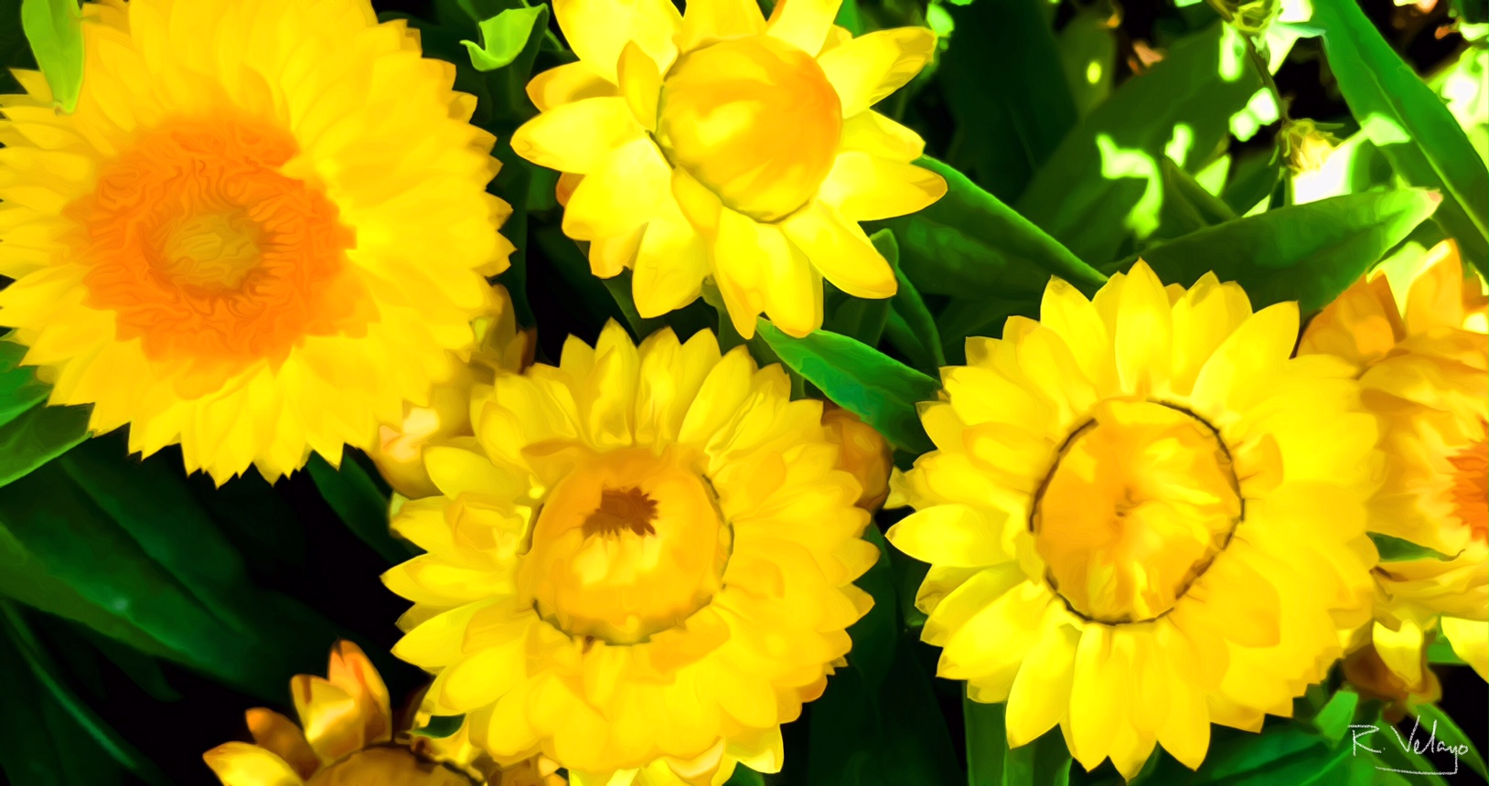 "LOVELY YELLOW FLOWERS" [Created: 3/13/2022]