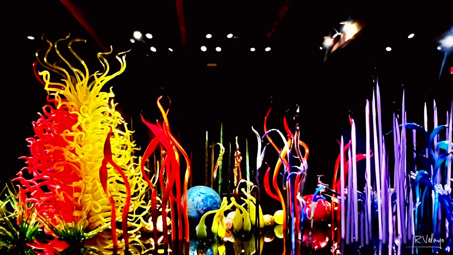 "CHIHULY COLLECTION 14" [Created: 8/19/2022]
