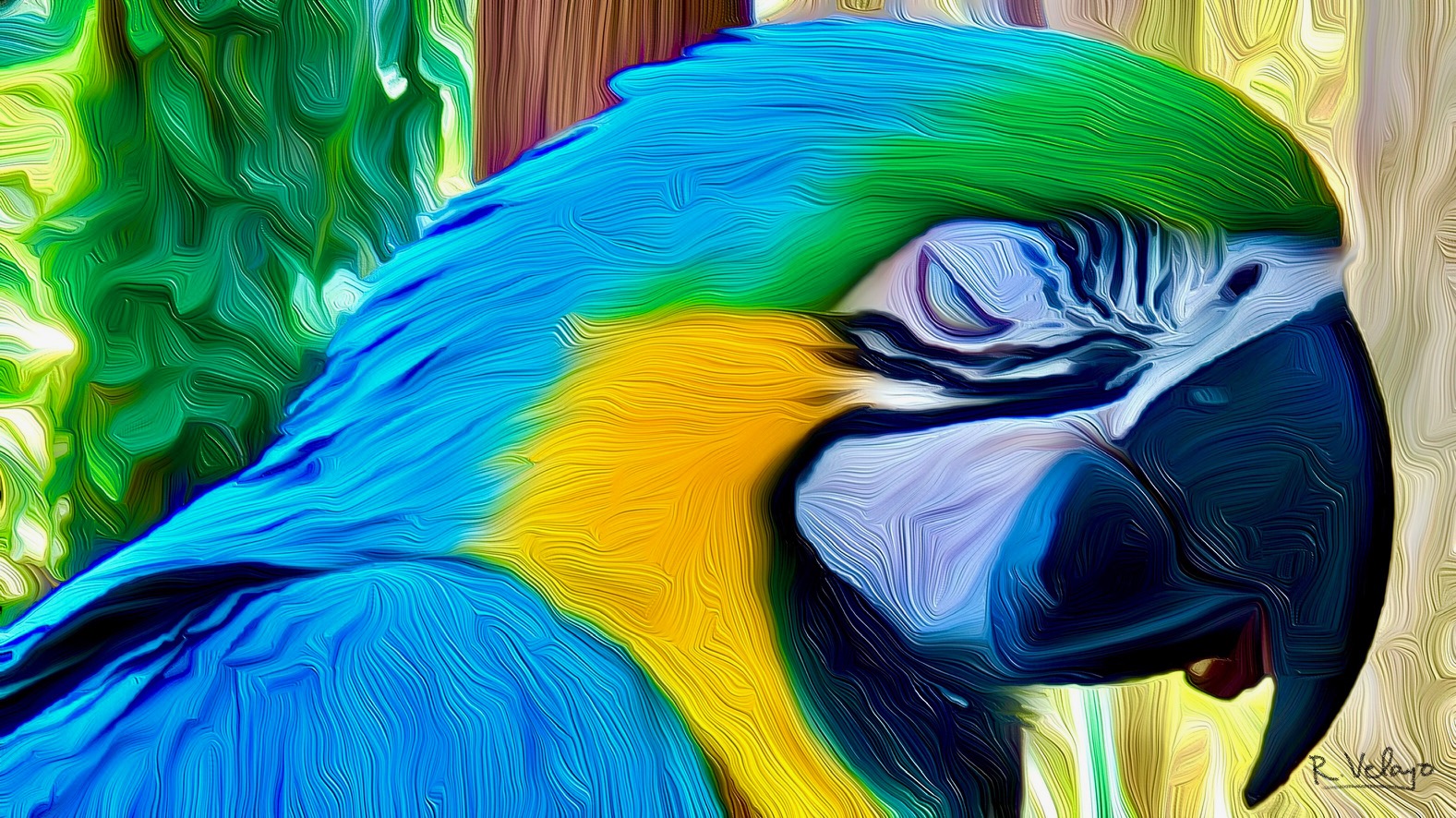 "SLEEPY BLUE AND GOLD MACAW AT WILD FLORIDA" [Created: 3/04/2021]