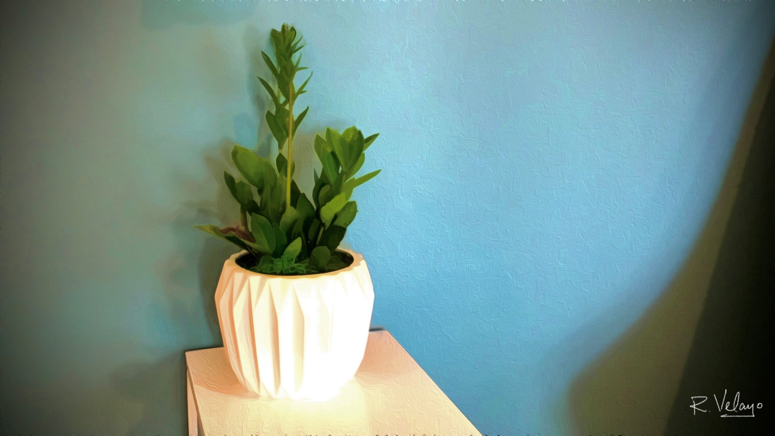 "POTTED PLANT ON A BLUE WALL" [Created: 1/18/2022]