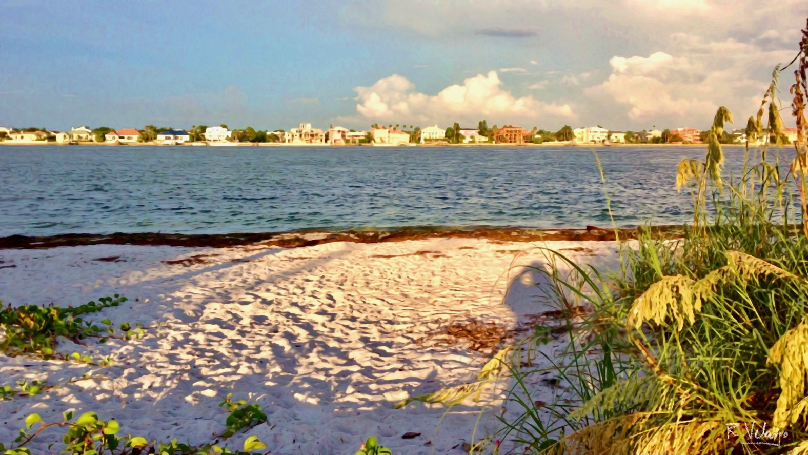 "VIEW OF PINE KEY FROM PASS-A-GRILLE DOG PARK" [Created: 12/02/2021]