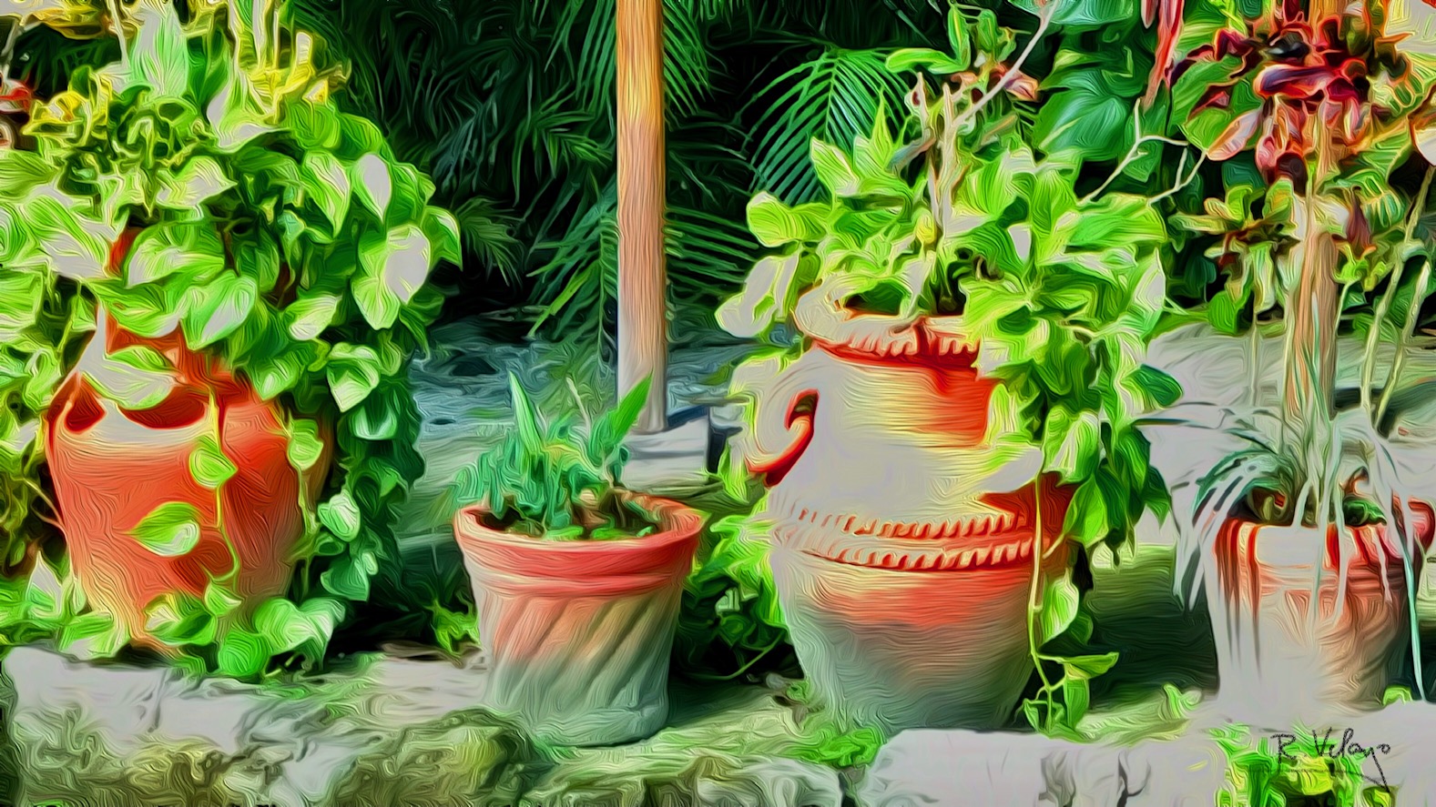 "POTTED PLANTS AT THE MAYAN CACAO COMPANY IN COZUMEL" [Created: 4/02/2021]