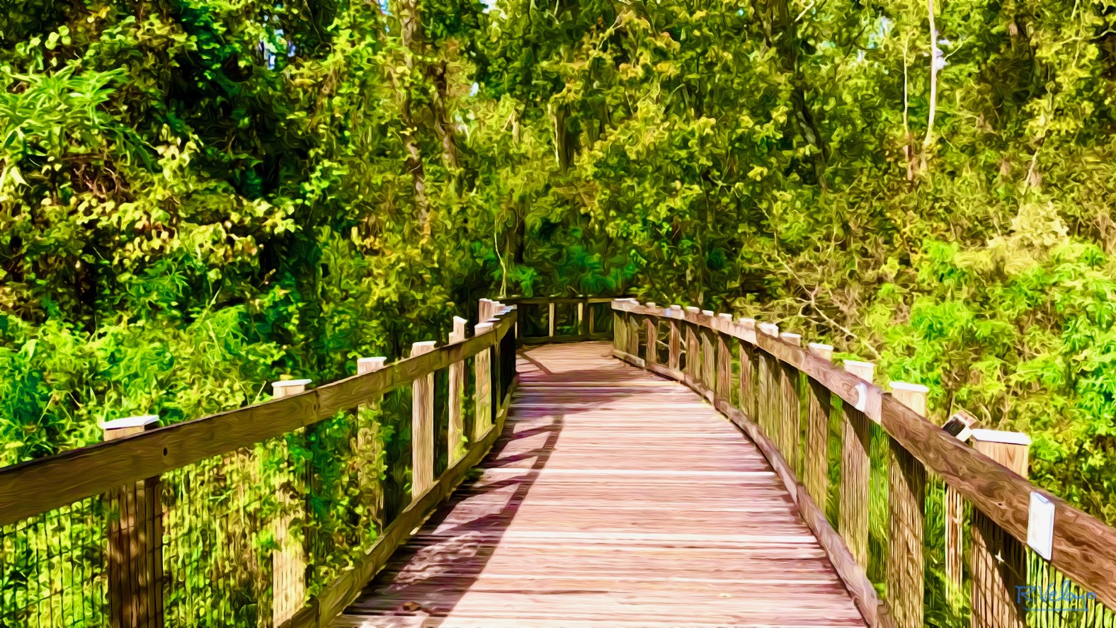 "WOODEN WALKWAY AT OAKLAND NATURE PRESERVE" [Created: 5/31/2021]