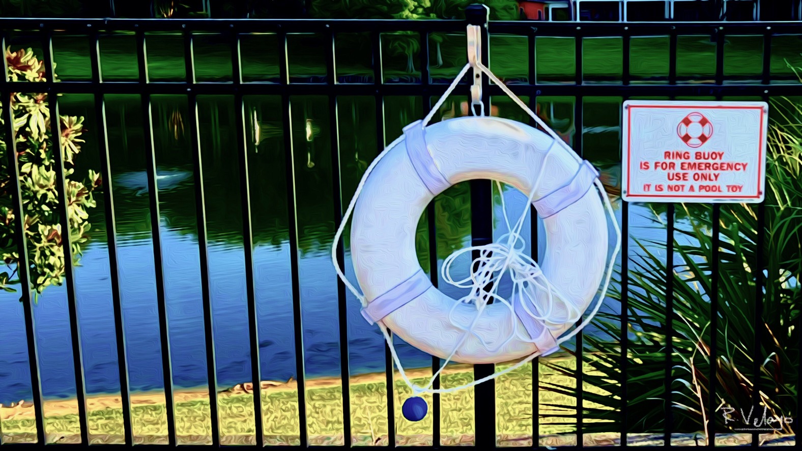 "LIFESAVER BY THE CLUBHOUSE POOL" [4/29/2022]