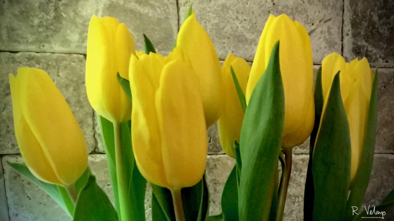 "BOUQUET OF YELLOW TULIPS" [Created: 11/12/2021]