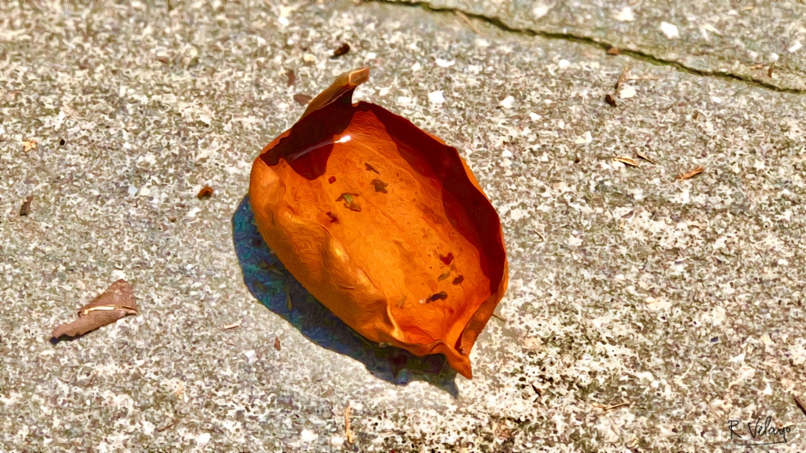 "DEAD LEAF FILLED WITH WATER 2" [Created: 9/08/2021]