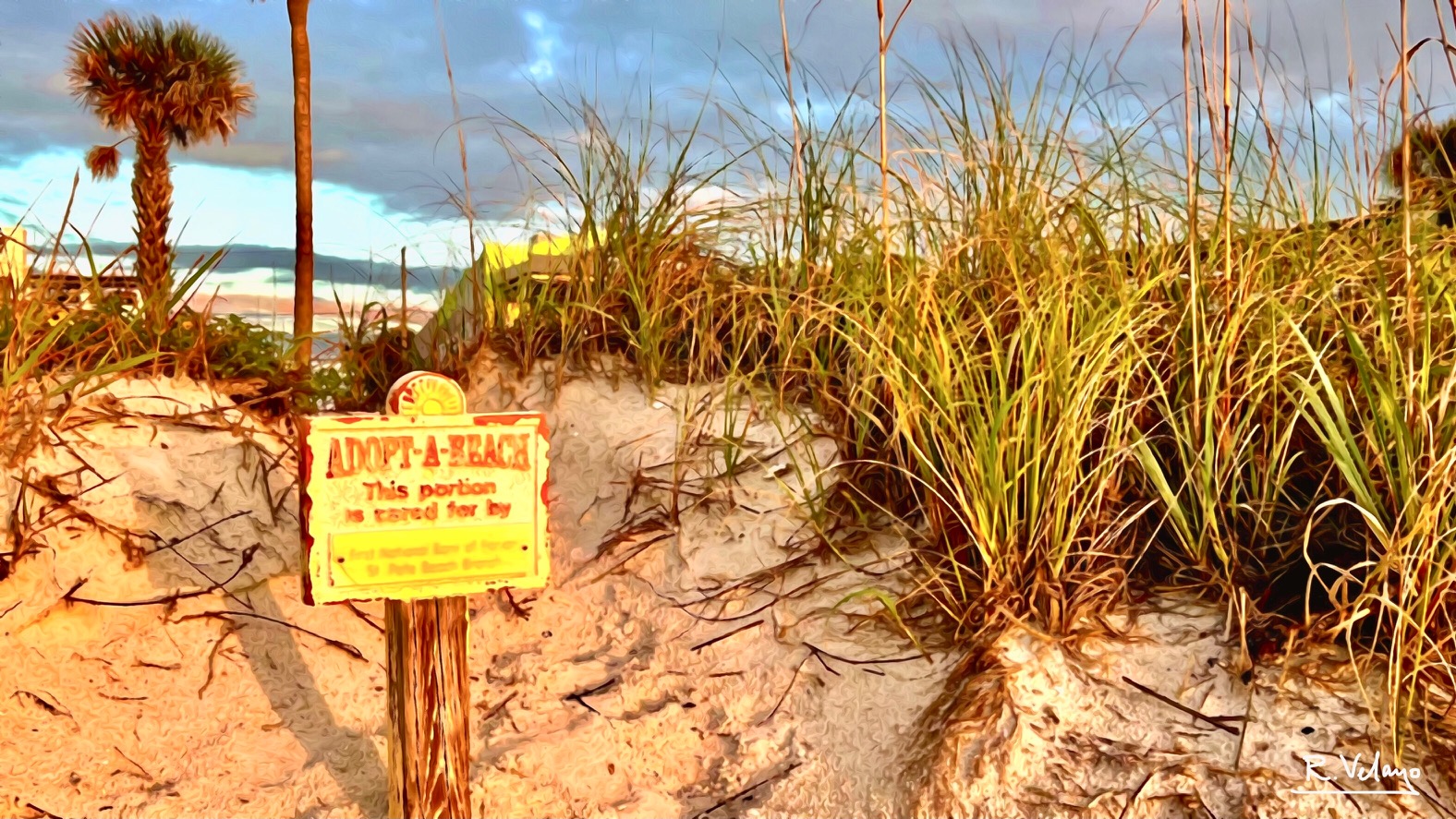 "ADOPT-A-BEACH SIGN AT SUNSET IN PASS-A-GRILLE BEACH" [Created: 11/24/2022]