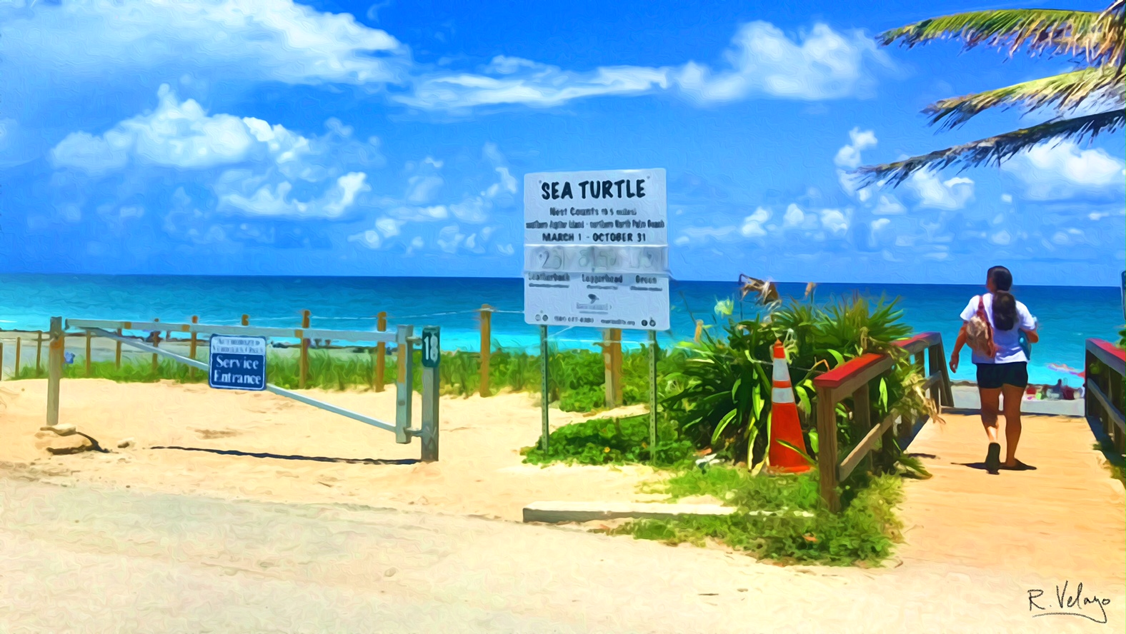 "SEA TURTLE SIGN NEAR BEACH WALKWAY ON JUPITER BEACH" [Created: 7/24/2021]