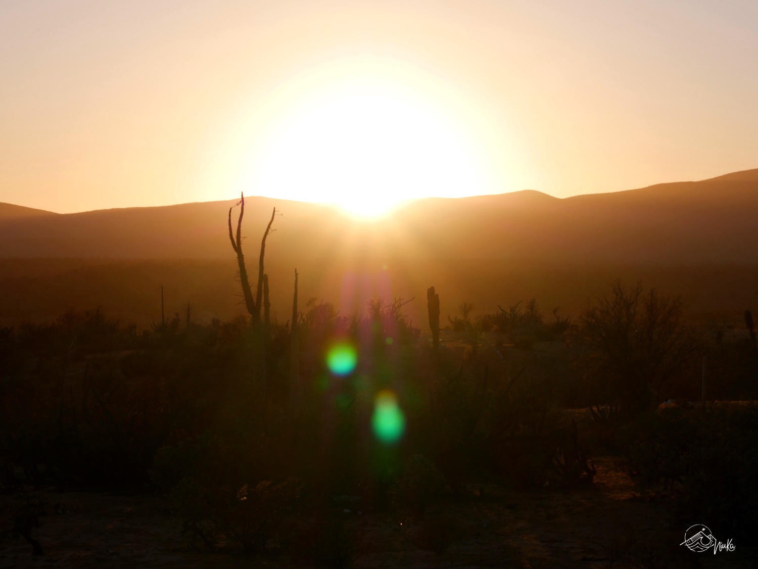 Sunset in the desert