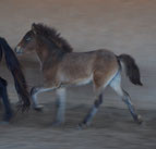 Foto: Beate Matschy