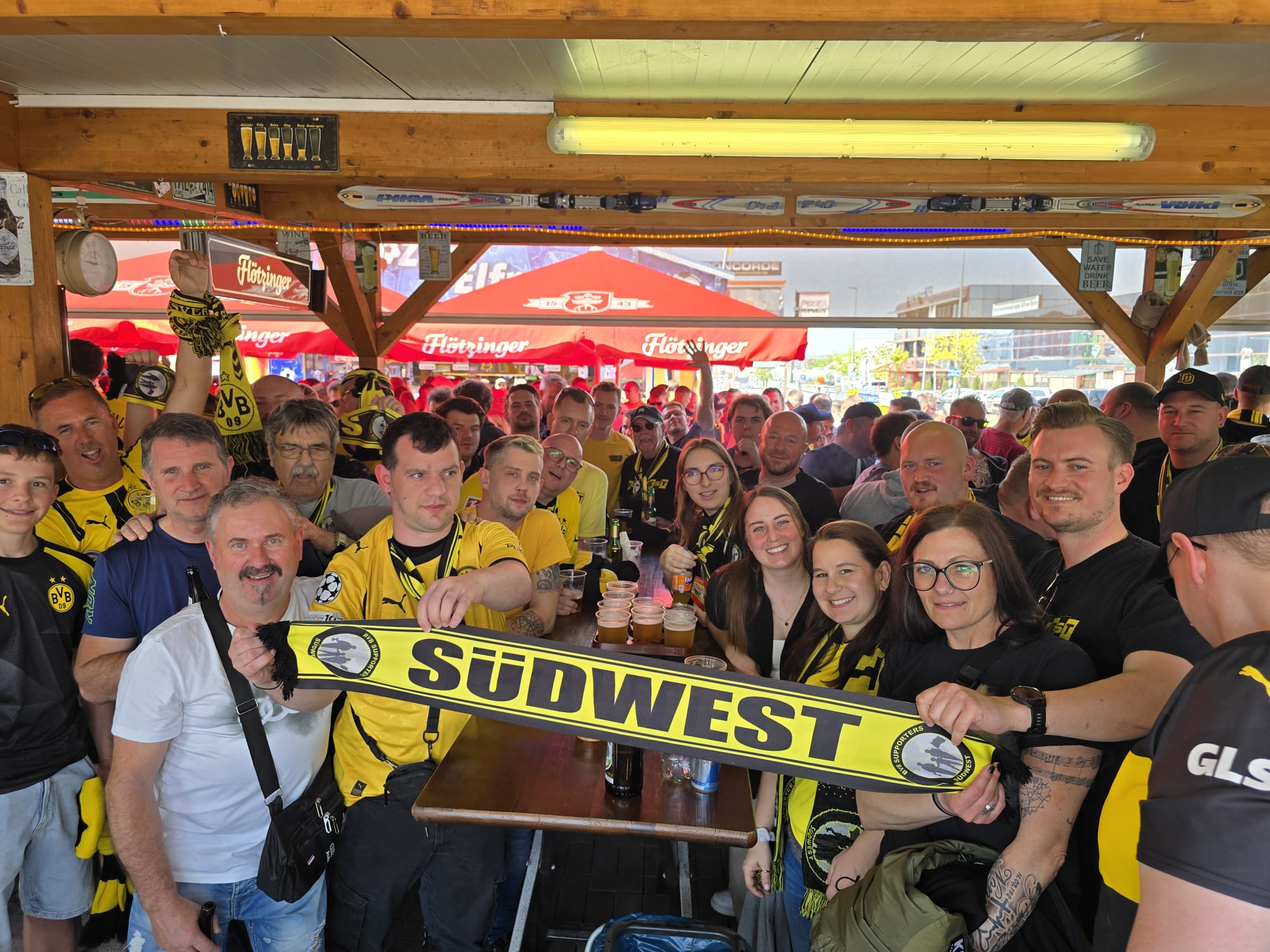 TSG 1899 Hoffenheim – Borussia Dortmund 09  (2:1)
