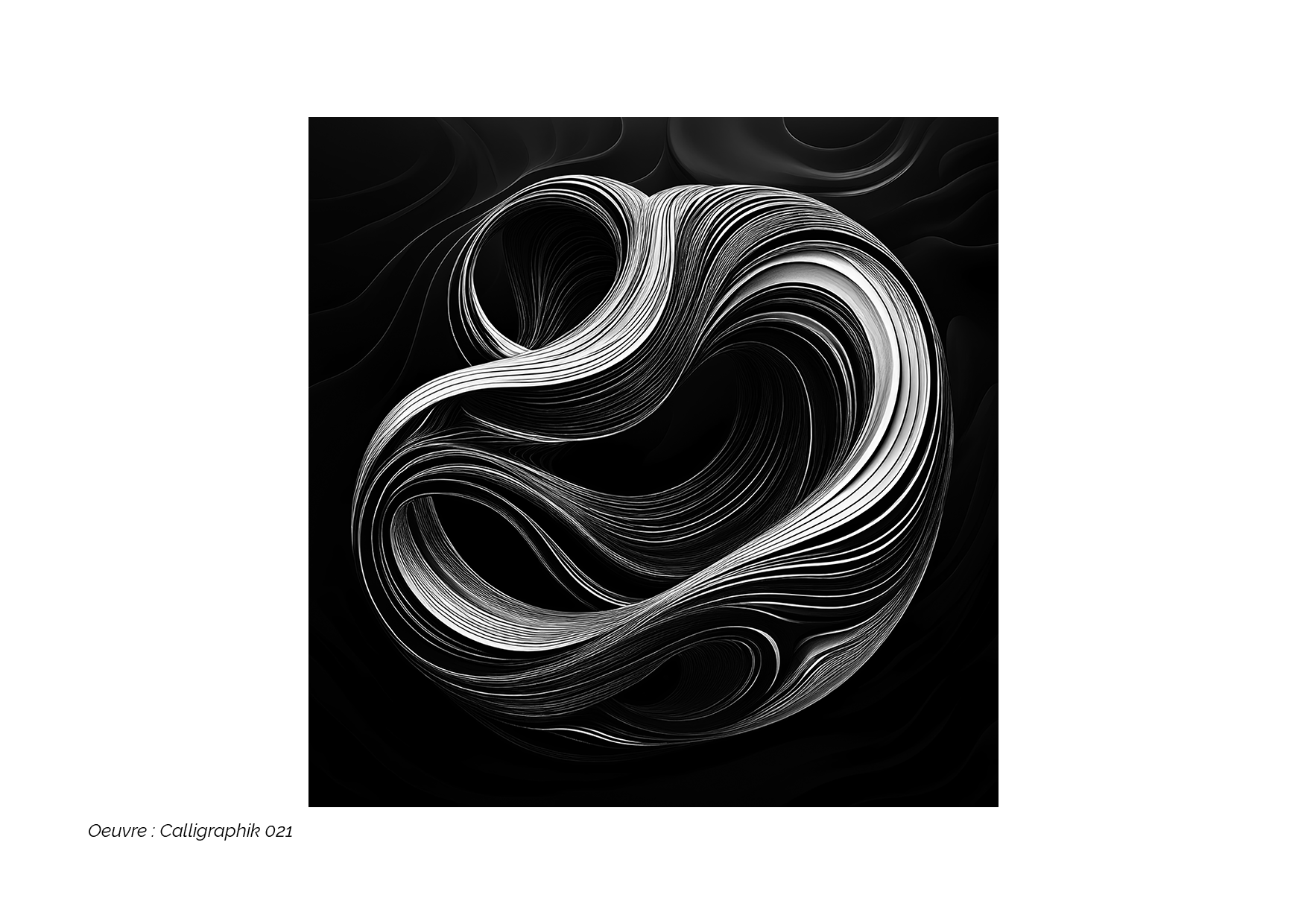 Calligraphik - Oeuvre noir et blanc. Tirage Fine Art en édition limitée, Franck Chastanier