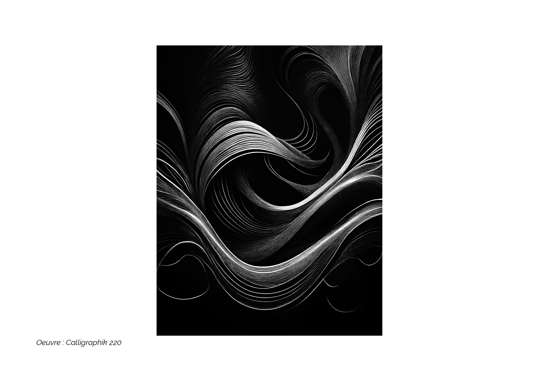 Calligraphik - Oeuvre noir et blanc. Tirage Fine Art en édition limitée, Franck Chastanier
